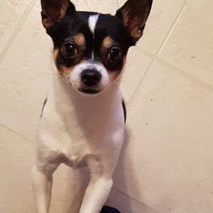 Meet your Posher, Angie